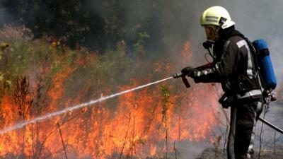 foto van natuurbrand | BON