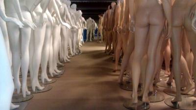 foto van paspop | fbf