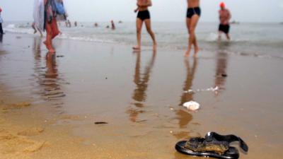 nieuwjaarsduik-zee-strand