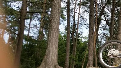 Man lokt kinderen met snoepje en pleegt schennis in bos van Nunspeet