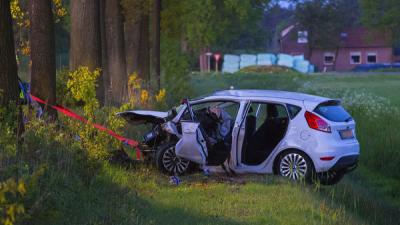 Twee doden bij frontale aanrijding Oirschot 