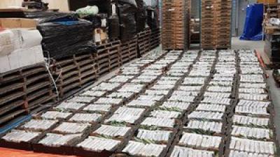 Grote hoeveelheid cocaïne gevonden in loods