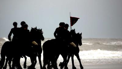 paarden-prinsjesdag-strand