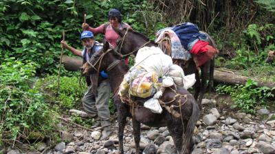foto van natuurgebied Peru