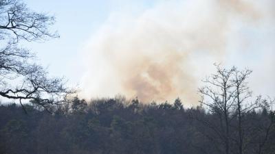 Natuurbrand in Alteveer