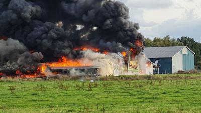 Kippenschuur volledig in brand