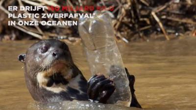 Milieuorganisatie Greenpeace start petitie omdat Coca-Cola de zee flest