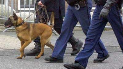 Foto van politie en hond | Archief EHF