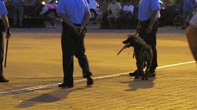 Foto van politie met wapenstok en hond | Archief EHF