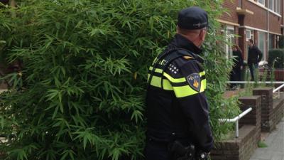 Verdachten vast na babbeltrucs bij hoogbejaarde slachtoffers