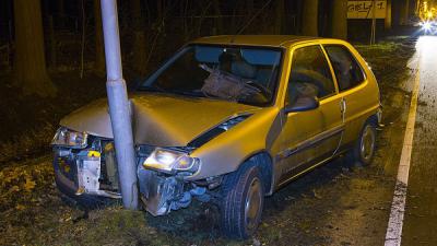 Overstekende ree overleden bij verkeersongeval in Boxtel