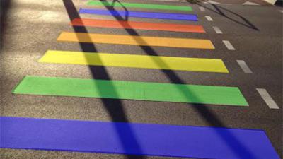 Ingebruikname regenboogzebra in Leek