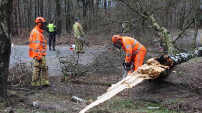 Storm zorgt voor overlast in zuidelijk deel Nederland