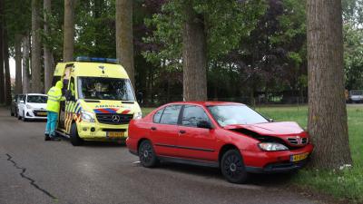 Auto tegen boom