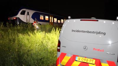 Trein stil na aanrijding met hert