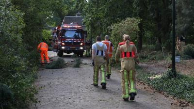 Afgebroken boomtak blokkeer Huygensstraat in Son en Breugel