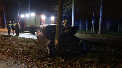 Auto tegen boom