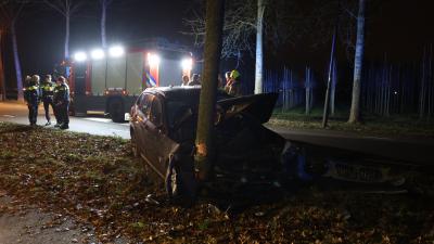 Auto tegen boom