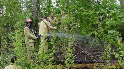 Brandweer dooft brand