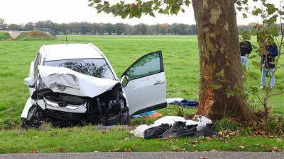 Auto botst frontaal op boom