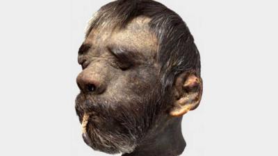 Te koop aangeboden een gekrompen hoofd voor 49.000,- euro