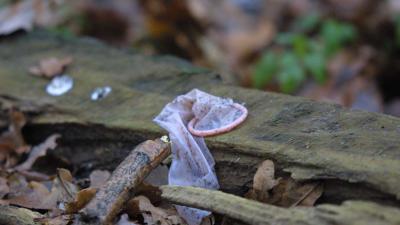 Inwoners Flevoland zelfverzekerd over bevredigen partner