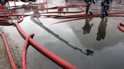 foto van slang | Politie