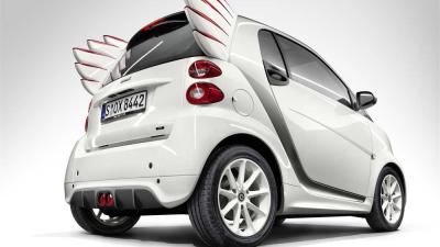 Foto van Smart met vleugels | Smart