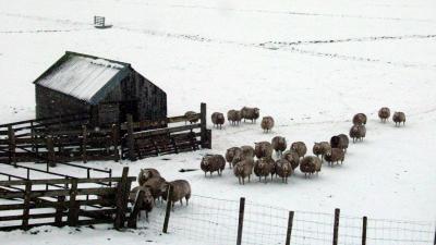 Vandaag sneeuwbui mogelijk en komende week vorst verwacht