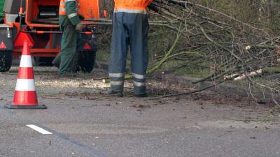 Man die collega groenvoorziening doodde met spade ontoerekeningsvatbaar