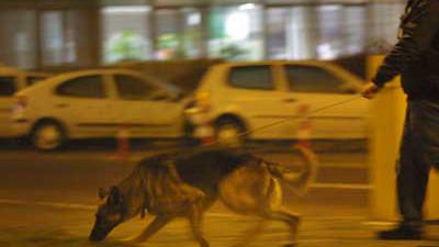 Speurhond vindt weggegooide vuurwapens, verdachte aangehouden