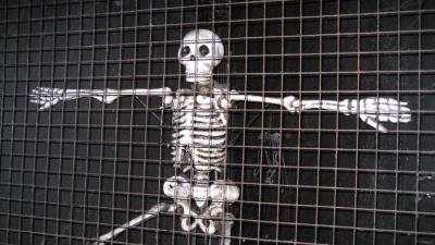 Spookhuis Leidsche Rijn in opspraak om levende krekels