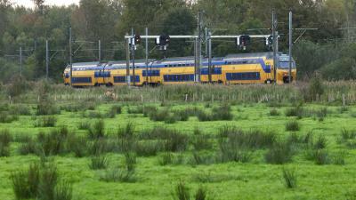 spoor-trein