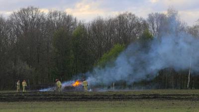 stoken-snoeihout-brandweer