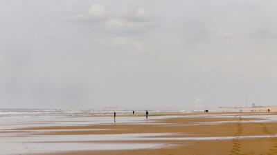  Zandvoortse Center Parcs-bungalows te koop aangeboden voor particulieren