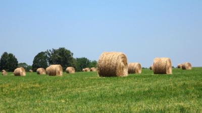 Foto van strobalen | Sxc