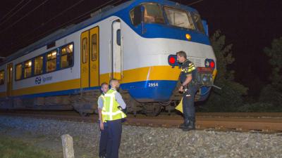 Man die voorbij razende trein dwingt te stoppen loopt hoofdletsel op