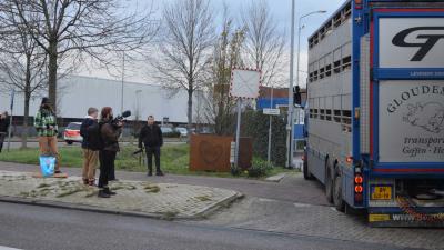 varkens-slachter-vion