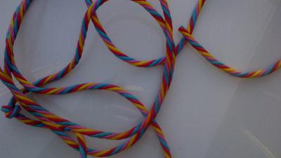 Hondenskelet gevonden, politie zoekt tips