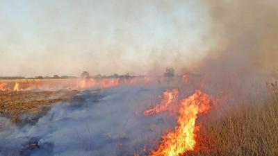 veenbrand-zwartemeer