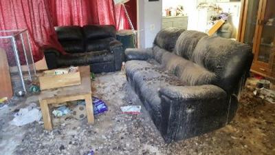 Elf honden en drie valkparkieten in beslag genomen vanwege ernstige verwaarlozing