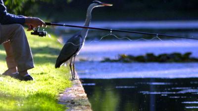 Opnieuw zoekactie visvijver in onderzoek Andy de Heus