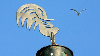 Vogelgriep in Zoeterwoude