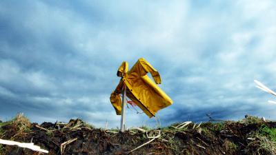 foto van vogelverschrikker | fbf