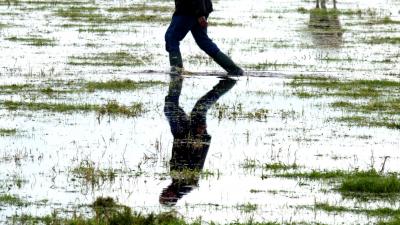 Waterschap test waterbergingslocatie Hooge Boezem in Haastrecht