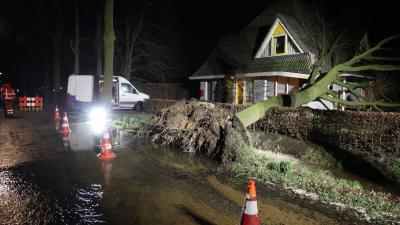 waterlekkage-boom-brandweer