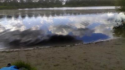 Otter Nieuwkoopse Plassen dood gevonden 