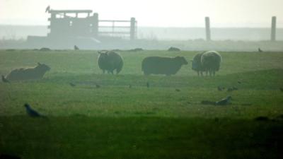 Verwarde man naast auto midden op weiland aangetroffen