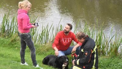 Brandweer redt dieren uit woning vol rook